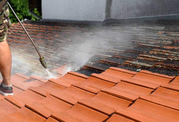 Best Power Washing Near Me  in Somerset, OH