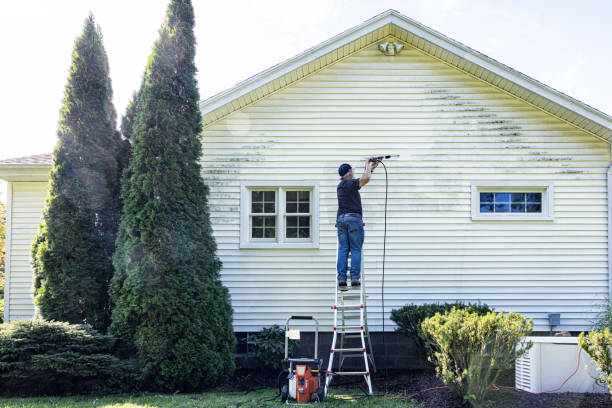 Best Roof Pressure Washing  in Somerset, OH